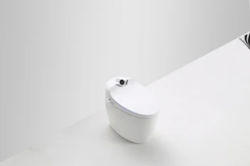 Луксозен интелигентен външен тоалетна S-trap с дистанционно управление Smart Bidet Toilet RS Q10