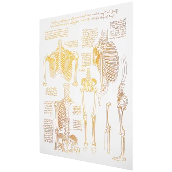 Подвесная картина с изображение на човешкото гръбначния стълб, декорация на стените в кабинета на медицински сестри